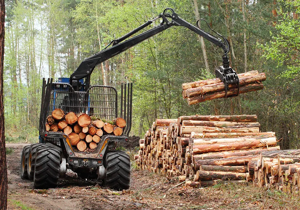 Forestry and Agriculture