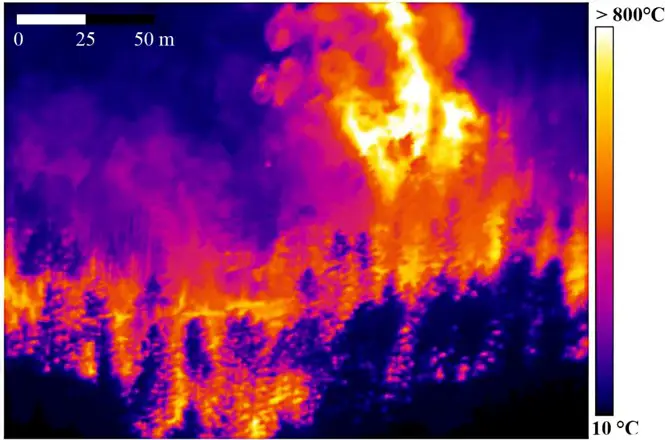 Early Fire Detection