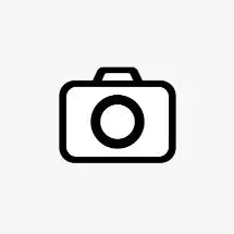 Integrated Colorization Camera