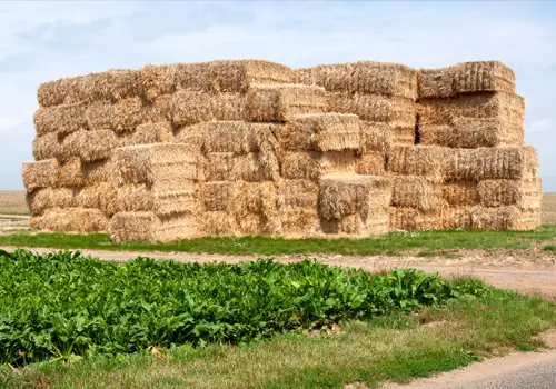 Agriculture Stockpile Monitoring