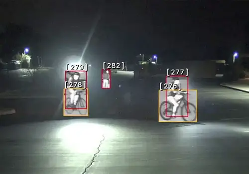 Vehicle Cameras