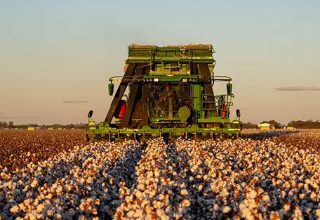 Shepherd on Cotton Harvester